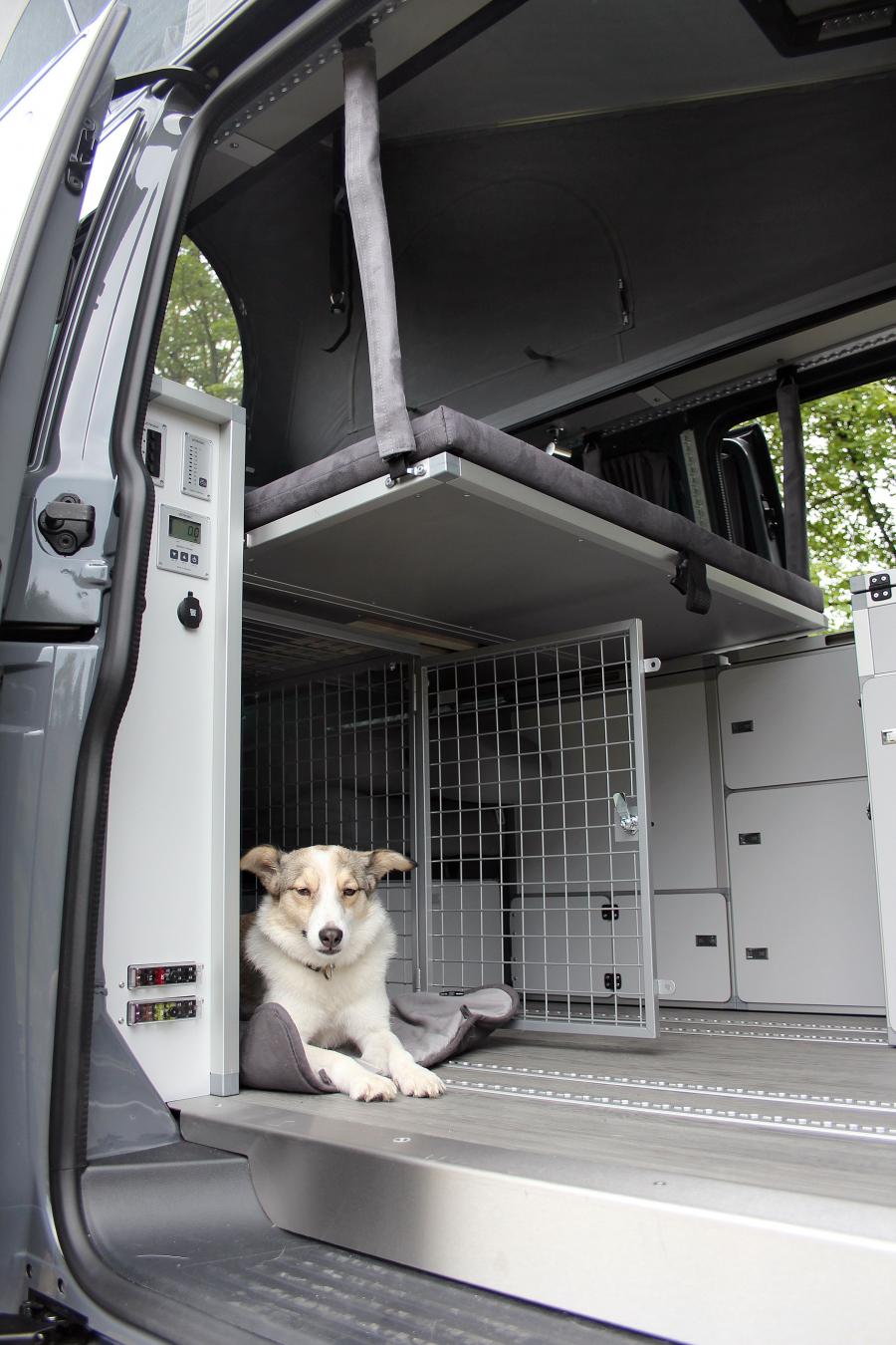 Интерьер Volkswagen Dogscamper (T6) 2017 года  (фото 8 из 9)